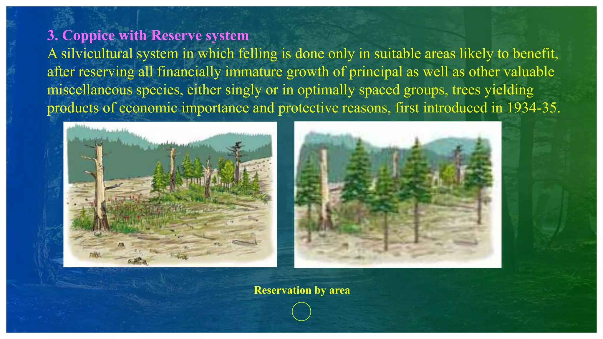 3. Coppice with Reserve system
A silvicultural system in which felling is done only in suitable areas likely to benefit,
after reserving all financially immature growth of principal as well as other valuable
miscellaneous species, either singly or in optimally spaced groups, trees yielding
products of economic importance and protective reasons, first introduced in 1934-35.
Reservation by area
 