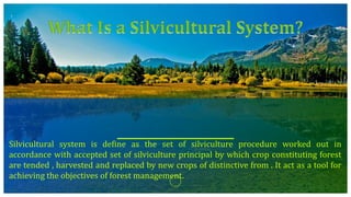 Silvicultural system is define as the set of silviculture procedure worked out in
accordance with accepted set of silviculture principal by which crop constituting forest
are tended , harvested and replaced by new crops of distinctive from . It act as a tool for
achieving the objectives of forest management.
 