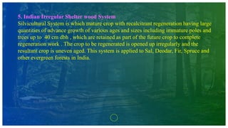 5. Indian Irregular Shelter wood System
Silvicultural System is which mature crop with recalcitrant regeneration having large
quantities of advance growth of various ages and sizes including immature poles and
trees up to 40 cm dbh , which are retained as part of the future crop to complete
regeneration work . The crop to be regenerated is opened up irregularly and the
resultant crop is uneven aged. This system is applied to Sal, Deodar, Fir, Spruce and
other evergreen forests in India.
 