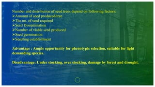 Number and distribution of seed trees depend on following factors:
Amount of seed produced/tree
The no. of seed required
Seed Dissemination
Number of viable seed produced
Seed germination
Seedling establishment
Advantage : Ample opportunity for phenotypic selection, suitable for light
demanding species.
Disadvantage: Under stocking, over stocking, damage by forest and drought.
 