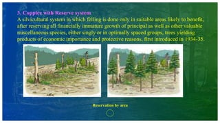 3. Coppice with Reserve system
A silvicultural system in which felling is done only in suitable areas likely to benefit,
after reserving all financially immature growth of principal as well as other valuable
miscellaneous species, either singly or in optimally spaced groups, trees yielding
products of economic importance and protective reasons, first introduced in 1934-35.
Reservation by area
 