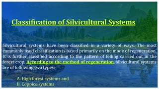 Silvicultural systems have been classified in a variety of ways. The most
commonly used classification is based primarily on the mode of regeneration.
It is further classified according to the pattern of felling carried out in the
forest crop. , silvicultural systems
are of following two types:
A. High forest systems and
B. Coppice systems
 