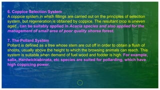 6. Coppice Selection System
A coppice system in which fillings are carried out on the principles of selection
system, but regeneration is obtained by coppice. The resultant crop is uneven
aged . can be suitably applied in Acacia species and also applied for the
management of small area of poor quality shorea forest.
7. The Pollard System
Pollard is defined as a tree whose stem are cut off in order to obtain a flush of
shoots, usually above the height to which the browsing animals can reach. This
system is suitable when demand of fuel wood and fodder is high. For example,
salix, Hardwickiabinata, etc species are suited for pollarding, which have
high coppicing power.
 