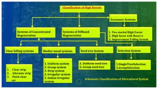 Classification of High Forests
Systems of Concentrated
Regeneration
Systems of Diffused
Regeneration
Accessory Systems
1. Two storied High Forest
2. High forest with Reserve
3. Improvement Felling System
Clear felling systems Shelter wood systems Seed tree System Selection System
1. Clear strip
2. Alternate strip
3. Patch clear
cut
1. Uniform system
2. Group system
3. Strip system
4. Irregular system
5. Indian Irregular
system
1. Uniform seed tree
2. Group seed tree
1.SingleTreeSelection
2.GroupSelection
Schematic Classification of Silvicultural System
 