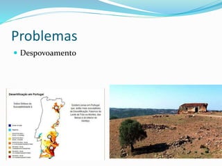 Problemas
 Despovoamento
 