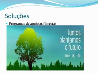 Soluções
 Programas de apoio as florestas
 