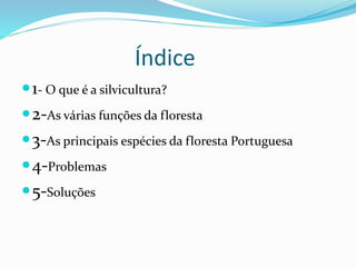 Índice
1- O que é a silvicultura?
2-As várias funções da floresta
3-As principais espécies da floresta Portuguesa
4-Problemas
5-Soluções
 