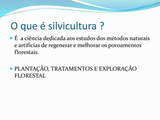 O que é silvicultura ?
 É a ciência dedicada aos estudos dos métodos naturais
e artificias de regenerar e melhorar os povoamentos
florestais.
 PLANTAÇÃO, TRATAMENTOS E EXPLORAÇÃO
FLORESTAL
 