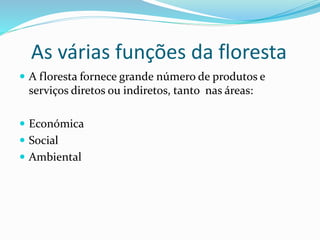 As várias funções da floresta
 A floresta fornece grande número de produtos e
serviços diretos ou indiretos, tanto nas áreas:
 Económica
 Social
 Ambiental
 