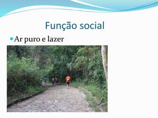 Função social
Ar puro e lazer
 