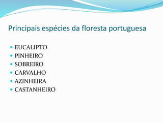 Principais espécies da floresta portuguesa
 EUCALIPTO
 PINHEIRO
 SOBREIRO
 CARVALHO
 AZINHEIRA
 CASTANHEIRO
 