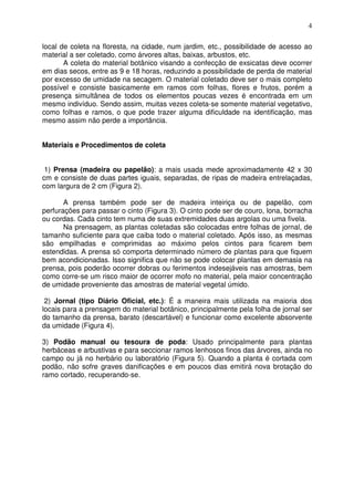4
local de coleta na floresta, na cidade, num jardim, etc., possibilidade de acesso ao
material a ser coletado, como árvores altas, baixas, arbustos, etc.
A coleta do material botânico visando a confecção de exsicatas deve ocorrer
em dias secos, entre as 9 e 18 horas, reduzindo a possibilidade de perda de material
por excesso de umidade na secagem. O material coletado deve ser o mais completo
possível e consiste basicamente em ramos com folhas, flores e frutos, porém a
presença simultânea de todos os elementos poucas vezes é encontrada em um
mesmo indivíduo. Sendo assim, muitas vezes coleta-se somente material vegetativo,
como folhas e ramos, o que pode trazer alguma dificuldade na identificação, mas
mesmo assim não perde a importância.
Materiais e Procedimentos de coleta
1) Prensa (madeira ou papelão): a mais usada mede aproximadamente 42 x 30
cm e consiste de duas partes iguais, separadas, de ripas de madeira entrelaçadas,
com largura de 2 cm (Figura 2).
A prensa também pode ser de madeira inteiriça ou de papelão, com
perfurações para passar o cinto (Figura 3). O cinto pode ser de couro, lona, borracha
ou cordas. Cada cinto tem numa de suas extremidades duas argolas ou uma fivela.
Na prensagem, as plantas coletadas são colocadas entre folhas de jornal, de
tamanho suficiente para que caiba todo o material coletado. Após isso, as mesmas
são empilhadas e comprimidas ao máximo pelos cintos para ficarem bem
estendidas. A prensa só comporta determinado número de plantas para que fiquem
bem acondicionadas. Isso significa que não se pode colocar plantas em demasia na
prensa, pois poderão ocorrer dobras ou ferimentos indesejáveis nas amostras, bem
como corre-se um risco maior de ocorrer mofo no material, pela maior concentração
de umidade proveniente das amostras de material vegetal úmido.
2) Jornal (tipo Diário Oficial, etc.): É a maneira mais utilizada na maioria dos
locais para a prensagem do material botânico, principalmente pela folha de jornal ser
do tamanho da prensa, barato (descartável) e funcionar como excelente absorvente
da umidade (Figura 4).
3) Podão manual ou tesoura de poda: Usado principalmente para plantas
herbáceas e arbustivas e para seccionar ramos lenhosos finos das árvores, ainda no
campo ou já no herbário ou laboratório (Figura 5). Quando a planta é cortada com
podão, não sofre graves danificações e em poucos dias emitirá nova brotação do
ramo cortado, recuperando-se.
 