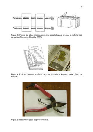 6
Figura 3: Prensa de tábua inteiriça com cinto acoplado para prensar o material das
excicatas (Pinheiro e Almeida, 2000).
Figura 4: Exsicata montada em folha de jornal (Pinheiro e Almeida, 2000) (Foto dos
Autores).
Figura 5: Tesoura de poda ou podão manual.
 