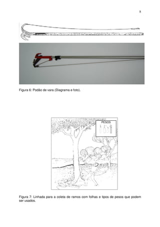 8
Figura 6: Podão de vara (Diagrama e foto).
Figura 7: Linhada para a coleta de ramos com folhas e tipos de pesos que podem
ser usados.
PESOS
 