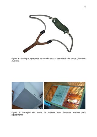 9
Figura 8: Estilingue, que pode ser usado para a “derrubada” de ramos (Foto dos
Autores).
Figura 9: Secagem em estufa de madeira, com lâmpadas internas para
aquecimento.
 