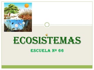 Ecosistemas Escuela Nº 66 