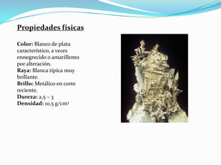Propiedades físicas

Color: Blanco de plata
característico, a veces
ennegrecido o amarillento
por alteración.
Raya: Blanca típica muy
brillante.
Brillo: Metálico en corte
reciente.
Dureza: 2,5 – 3
Densidad: 10,5 g/cm3
 