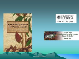 Benavides E., (2004)
 