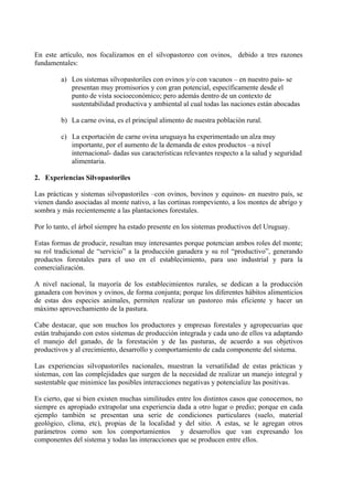En este artículo, nos focalizamos en el silvopastoreo con ovinos, debido a tres razones
fundamentales:

         a) Los sistemas silvopastoriles con ovinos y/o con vacunos – en nuestro país- se
            presentan muy promisorios y con gran potencial, específicamente desde el
            punto de vista socioeconómico; pero además dentro de un contexto de
            sustentabilidad productiva y ambiental al cual todas las naciones están abocadas

         b) La carne ovina, es el principal alimento de nuestra población rural.

         c) La exportación de carne ovina uruguaya ha experimentado un alza muy
            importante, por el aumento de la demanda de estos productos –a nivel
            internacional- dadas sus características relevantes respecto a la salud y seguridad
            alimentaria.

2. Experiencias Silvopastoriles

Las prácticas y sistemas silvopastoriles –con ovinos, bovinos y equinos- en nuestro país, se
vienen dando asociadas al monte nativo, a las cortinas rompeviento, a los montes de abrigo y
sombra y más recientemente a las plantaciones forestales.

Por lo tanto, el árbol siempre ha estado presente en los sistemas productivos del Uruguay.

Estas formas de producir, resultan muy interesantes porque potencian ambos roles del monte;
su rol tradicional de “servicio” a la producción ganadera y su rol “productivo”, generando
productos forestales para el uso en el establecimiento, para uso industrial y para la
comercialización.

A nivel nacional, la mayoría de los establecimientos rurales, se dedican a la producción
ganadera con bovinos y ovinos, de forma conjunta; porque los diferentes hábitos alimenticios
de estas dos especies animales, permiten realizar un pastoreo más eficiente y hacer un
máximo aprovechamiento de la pastura.

Cabe destacar, que son muchos los productores y empresas forestales y agropecuarias que
están trabajando con estos sistemas de producción integrada y cada uno de ellos va adaptando
el manejo del ganado, de la forestación y de las pasturas, de acuerdo a sus objetivos
productivos y al crecimiento, desarrollo y comportamiento de cada componente del sistema.

Las experiencias silvopastoriles nacionales, muestran la versatilidad de estas prácticas y
sistemas, con las complejidades que surgen de la necesidad de realizar un manejo integral y
sustentable que minimice las posibles interacciones negativas y potencialize las positivas.

Es cierto, que si bien existen muchas similitudes entre los distintos casos que conocemos, no
siempre es apropiado extrapolar una experiencia dada a otro lugar o predio; porque en cada
ejemplo también se presentan una serie de condiciones particulares (suelo, material
geológico, clima, etc), propias de la localidad y del sitio. A estas, se le agregan otros
parámetros como son los comportamientos y desarrollos que van expresando los
componentes del sistema y todas las interacciones que se producen entre ellos.
 
