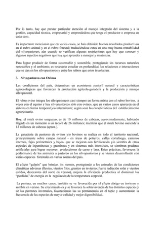 Por lo tanto, hay que prestar particular atención al manejo integrado del sistema y a la
gestión, capacidad técnica, empresarial y emprendedora que tenga el productor o empresa en
cada caso.

Es importante mencionar que en varios casos, se han obtenido buenos resultados productivos
en el rubro animal y en el rubro forestal; traduciéndose estos en una muy buena rentabilidad
del silvopastoreo; aún cuando se verifican algunas restricciones que hay que conocer y
algunos aspectos negativos que hay que aprender a manejar y minimizar.

Para lograr producir de forma sustentable y sostenible, protegiendo los recursos naturales
renovables y el ambiente; es necesario estudiar en profundidad las relaciones e interacciones
que se dan en los silvopastoreos y entre los rubros que estos involucran.

3. Silvopastoreo con Ovinos

Las condiciones del país, determinan un ecosistema pastoril natural y características
agroecológicas que favorecen la producción agrícola-ganadera y la producción y manejo
silvopastoril.

El rubro ovino integra los silvopastoreos casi siempre en forma mixta con el rubro bovino, a
veces con el equino y hay silvopastoreos sólo con ovinos, que en varios casos aparecen en el
sistema en forma temporal y/o intermitente; según sean las características del establecimiento
agropecuario.

Hoy, el stock ovino uruguayo, es de 10 millones de cabezas, aproximadamente; habiendo
llegado en un momento a un récord de 26 millones; mientras que el stock bovino asciende a
12 millones de cabezas (aprox.).

La ganadería de pastoreo de ovinos y/o bovinos se realiza en todo el territorio nacional,
principalmente sobre campo natural - en áreas de potreros, calles cortafuego, caminos
internos, fajas perimetrales y bajos- que se mejoran con fertilización y/o siembra de otras
especies de leguminosas y gramíneas y en sistemas más intensivos, se siembran praderas
artificiales para lograr mayores producciones de carne y lana. Estas prácticas, favorecen la
performance de los animales a pastoreo en los silvopastoreos y se vienen desarrollando con
varias especies forestales en varias zoznas del país.

El efecto “galpón” que brindan los montes, protegiendo a los animales de las condiciones
climáticas adversas (lluvias, vientos fríos, granizo en invierno; fuerte radiación solar y vientos
cálidos, desecantes del norte en verano), mejora la eficiencia productiva al disminuir las
“perdidas” de energía en la regulación de la temperatura corporal.

 La pastura, en muchos casos, también se ve favorecida por el efecto abrigo en invierno y
sombra en verano. Su crecimiento es y se favorece la sobrevivencia de las distintas especies y
de las perennes invernales, favoreciendo las su permanencia en el tapiz y aumentando la
frecuencia de las especies de mayor calidad y mejor digestibilidad.
 