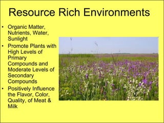 Resource Rich Environments
• Organic Matter,
  Nutrients, Water,
  Sunlight
• Promote Plants with
  High Levels of
  Primary
  Compounds and
  Moderate Levels of
  Secondary
  Compounds
• Positively Influence
  the Flavor, Color,
  Quality, of Meat &
  Milk
 