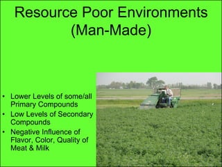 Resource Poor Environments
          (Man-Made)



• Lower Levels of some/all
  Primary Compounds
• Low Levels of Secondary
  Compounds
• Negative Influence of
  Flavor, Color, Quality of
  Meat & Milk
 