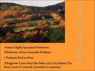 •Attract Highly Specialized Herbivores
•Herbivores Attract Generalist Predators
• Predators Feed on Pests
•Hedgerows Create More Bio-Mass (a.k.a Dry Matter) For
Every Level of Livestock (microbial to ruminant)
 