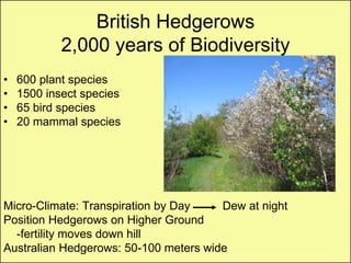 British Hedgerows
            2,000 years of Biodiversity
•   600 plant species
•   1500 insect species
•   65 bird species
•   20 mammal species




Micro-Climate: Transpiration by Day    Dew at night
Position Hedgerows on Higher Ground
  -fertility moves down hill
Australian Hedgerows: 50-100 meters wide
 