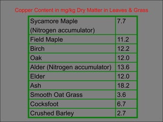Copper Content in mg/kg Dry Matter in Leaves & Grass

     Sycamore Maple                    7.7
     (Nitrogen accumulator)
     Field Maple                       11.2
     Birch                             12.2
     Oak                               12.0
     Alder (Nitrogen accumulator)      13.6
     Elder                             12.0
     Ash                               18.2
     Smooth Oat Grass                  3.6
     Cocksfoot                         6.7
     Crushed Barley                    2.7
 