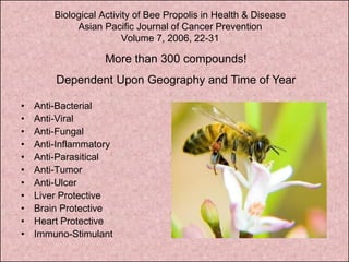 Biological Activity of Bee Propolis in Health & Disease
             Asian Pacific Journal of Cancer Prevention
                         Volume 7, 2006, 22-31

                    More than 300 compounds!
        Dependent Upon Geography and Time of Year

•   Anti-Bacterial
•   Anti-Viral
•   Anti-Fungal
•   Anti-Inflammatory
•   Anti-Parasitical
•   Anti-Tumor
•   Anti-Ulcer
•   Liver Protective
•   Brain Protective
•   Heart Protective
•   Immuno-Stimulant
 