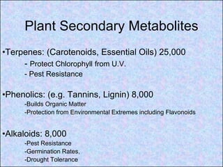 Plant Secondary Metabolites
•Terpenes: (Carotenoids, Essential Oils) 25,000
     - Protect Chlorophyll from U.V.
     - Pest Resistance

•Phenolics: (e.g. Tannins, Lignin) 8,000
     -Builds Organic Matter
     -Protection from Environmental Extremes including Flavonoids


•Alkaloids: 8,000
     -Pest Resistance
     -Germination Rates,
     -Drought Tolerance
 