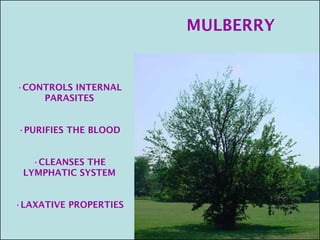 •



•


    •



•
 