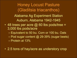 Honey Locust Pasture
        (Gladitsia triacanthos)
       Alabama Ag Experiment Station
        Auburn, Alabama 1942-1945
• 48 trees per acre @ 60 lbs pods/tree =
  3,000 lbs pods/acre
  – Equivalent to 50 bu. Corn or 100 bu. Oats
  – Pod sugar content @ 29-39% (sugar beets)
  – Protein at 13%

• 2.5 tons of hay/acre as understory crop
 