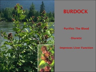 •


        •


•
 