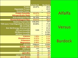 ALFALFA     Burdock
                             Protein     20.97%        29.0
                 Digestable Protein                    23.5
                    Soluble Protein                      3.9
                   Protein Solubility
              Nitrogen/Sulfur Ratio
                                         50.07%
                                            11:1
                                                       13.4
                                                         5:1
                                                               Alfalfa
               Acid Detergent Fiber      32.10%        25.1
            Neutral Detergent Fiber      43.61%        36.5
                Relative Feed Value 136.20%             177
TDN (est.) Total Digestible Nutients     63.89%        71.8
                        ME (mcal/lb)
      Est. Net Energy (therms/cwt)
                                                       1.18
                                                       61.6    Versus
                   NE/Lact (mcal/lb)        0.65       0.75
                  NE/Maint (mcal/lb)                  0.768
                   NE/Gain (mcal/lb)                  0.490
                            Calcium       1.58%        2.10
                      Phosphorous         0.37%        0.34
                         Potassium
                        Magnesium
                                          2.05%
                                          0.46%
                                                       3.28
                                                       0.43    Burdock
                            Sodium      759ppm        0.028
                        Sulfur - total    0.31%        0.90
                           ppm Iron          171        149
                       ppm Copper             15         26
                           ppm Zinc           30         32
                   ppm Manganese              23         47
                         ppm Boron            50         32
 