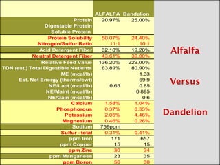 ALFALFA Dandelion
                             Protein     20.97%   25.00%
                 Digestable Protein
                    Soluble Protein
                   Protein Solubility    50.07%   24.40%
              Nitrogen/Sulfur Ratio         11:1     10:1
               Acid Detergent Fiber      32.10%   19.20%
            Neutral Detergent Fiber      43.61%   30.00%
                Relative Feed Value 136.20%      229.00%
TDN (est.) Total Digestible Nutients     63.89%   80.90%
                        ME (mcal/lb)                 1.33
      Est. Net Energy (therms/cwt)                   69.9
                   NE/Lact (mcal/lb)        0.65     0.85
                  NE/Maint (mcal/lb)                0.895
                   NE/Gain (mcal/lb)                   0.6
                            Calcium       1.58%    1.04%
                      Phosphorous         0.37%    0.33%
                          Potassium       2.05%    4.46%
                        Magnesium         0.46%    0.26%
                            Sodium       759ppm
                        Sulfur - total    0.31%    0.41%
                           ppm Iron          171      657
                       ppm Copper             15       15
                           ppm Zinc           30       34
                   ppm Manganese              23       35
                         ppm Boron            50       30
 