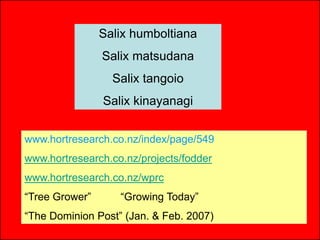 Salix humboltiana
                Salix matsudana
                  Salix tangoio
                Salix kinayanagi


www.hortresearch.co.nz/index/page/549
www.hortresearch.co.nz/projects/fodder
www.hortresearch.co.nz/wprc
“Tree Grower”      “Growing Today”
“The Dominion Post” (Jan. & Feb. 2007)
 