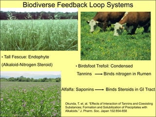 Biodiverse Feedback Loop Systems




• Tall Fescue: Endophyte
(Alkaloid-Nitrogen Steroid)             • Birdsfoot Trefoil: Condensed

                                        Tannins              Binds nitrogen in Rumen


                              Alfalfa: Saponins                Binds Steroids in GI Tract


                                Okunda, T. et. al. “Effects of Interaction of Tannins and Coexisting
                                Substances; Formation and Solubilization of Precipitates with
                                Alkaloids.” J. Pharm. Soc. Japan 102:854-858
 