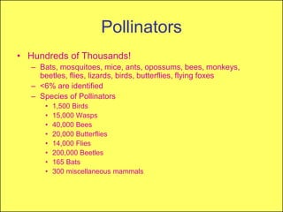 Pollinators
• Hundreds of Thousands!
  – Bats, mosquitoes, mice, ants, opossums, bees, monkeys,
    beetles, flies, lizards, birds, butterflies, flying foxes
  – <6% are identified
  – Species of Pollinators
      •   1,500 Birds
      •   15,000 Wasps
      •   40,000 Bees
      •   20,000 Butterflies
      •   14,000 Flies
      •   200,000 Beetles
      •   165 Bats
      •   300 miscellaneous mammals
 