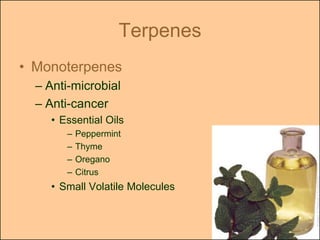 Terpenes
• Monoterpenes
  – Anti-microbial
  – Anti-cancer
    • Essential Oils
       –   Peppermint
       –   Thyme
       –   Oregano
       –   Citrus
    • Small Volatile Molecules
 