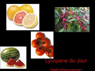 Lycopene du Jour
 