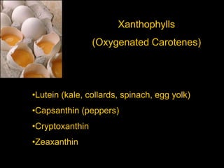 Xanthophylls
                 (Oxygenated Carotenes)




•Lutein (kale, collards, spinach, egg yolk)
•Capsanthin (peppers)
•Cryptoxanthin
•Zeaxanthin
 