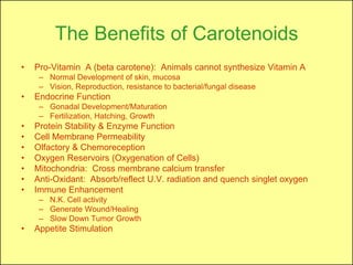 The Benefits of Carotenoids
•   Pro-Vitamin A (beta carotene): Animals cannot synthesize Vitamin A
     – Normal Development of skin, mucosa
     – Vision, Reproduction, resistance to bacterial/fungal disease
•   Endocrine Function
     – Gonadal Development/Maturation
     – Fertilization, Hatching, Growth
•   Protein Stability & Enzyme Function
•   Cell Membrane Permeability
•   Olfactory & Chemoreception
•   Oxygen Reservoirs (Oxygenation of Cells)
•   Mitochondria: Cross membrane calcium transfer
•   Anti-Oxidant: Absorb/reflect U.V. radiation and quench singlet oxygen
•   Immune Enhancement
     – N.K. Cell activity
     – Generate Wound/Healing
     – Slow Down Tumor Growth
•   Appetite Stimulation
 