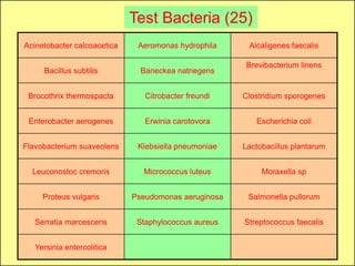 Test Bacteria (25)
Acinetobacter calcoacetica    Aeromonas hydrophila     Alcaligenes faecalis

                                                       Brevibacterium linens
     Bacillus subtilis         Baneckea natriegens


 Brocothrix thermospacta        Citrobacter freundi   Clostridium sporogenes


 Enterobacter aerogenes         Erwinia carotovora       Escherichia coli


Flavobacterium suaveolens     Klebsiella pneumoniae   Lactobacillus plantarum


  Leuconostoc cremoris         Micrococcus luteus          Moraxella sp


     Proteus vulgaris        Pseudomonas aeruginosa    Salmonella pullorum


   Serratia marcescens        Staphylococcus aureus   Streptococcus faecalis


   Yersinia entercolitica
 