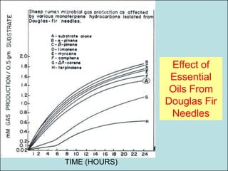 Effect of
               A    Essential
                    Oils From
                   Douglas Fir
                    Needles



TIME (HOURS)
 