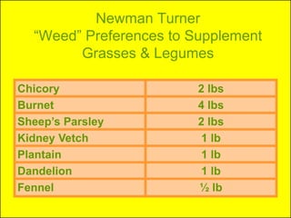 Newman Turner
  “Weed” Preferences to Supplement
        Grasses & Legumes

Chicory                  2 lbs
Burnet                   4 lbs
Sheep’s Parsley          2 lbs
Kidney Vetch              1 lb
Plantain                  1 lb
Dandelion                 1 lb
Fennel                   ½ lb
 