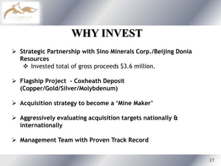 Deputy director of the China Nonferrous Metals Industry AssociationDr. Jingbin Wang10