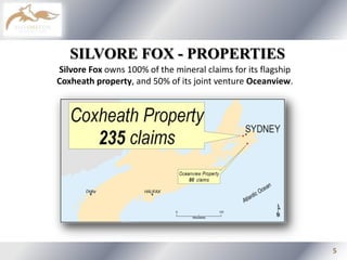 Strategic Partnership - Sino Minerals Corp. / Beijing Donia Resources Co. Ltd.