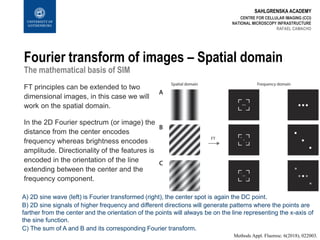 SAHLGRENSKA ACADEMY
Fourier transform of images – Spatial domain
The mathematical basis of SIM
CENTRE FOR CELLULAR IMAGING (CCI)
NATIONAL MICROSCOPY INFRASTRUCTURE
RAFAEL CAMACHO
FT principles can be extended to two
dimensional images, in this case we will
work on the spatial domain.
Methods Appl. Fluoresc. 6(2018), 022003.
In the 2D Fourier spectrum (or image) the
distance from the center encodes
frequency whereas brightness encodes
amplitude. Directionality of the features is
encoded in the orientation of the line
extending between the center and the
frequency component.
A) 2D sine wave (left) is Fourier transformed (right), the center spot is again the DC point.
C) The sum of A and B and its corresponding Fourier transform.
B) 2D sine signals of higher frequency and different directions will generate patterns where the points are
farther from the center and the orientation of the points will always be on the line representing the x-axis of
the sine function.
 