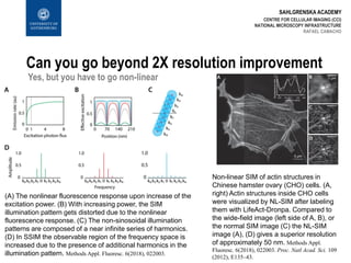 SAHLGRENSKA ACADEMY
Can you go beyond 2X resolution improvement
CENTRE FOR CELLULAR IMAGING (CCI)
NATIONAL MICROSCOPY INFRASTRUCTURE
RAFAEL CAMACHO
(A) The nonlinear fluorescence response upon increase of the
excitation power. (B) With increasing power, the SIM
illumination pattern gets distorted due to the nonlinear
fluorescence response. (C) The non-sinosoidal illumination
patterns are composed of a near infinite series of harmonics.
(D) In SSIM the observable region of the frequency space is
increased due to the presence of additional harmonics in the
illumination pattern. Methods Appl. Fluoresc. 6(2018), 022003.
Non-linear SIM of actin structures in
Chinese hamster ovary (CHO) cells. (A,
right) Actin structures inside CHO cells
were visualized by NL-SIM after labeling
them with LifeAct-Dronpa. Compared to
the wide-field image (left side of A, B), or
the normal SIM image (C) the NL-SIM
image (A), (D) gives a superior resolution
of approximately 50 nm. Methods Appl.
Fluoresc. 6(2018), 022003. Proc. Natl Acad. Sci. 109
(2012), E135–43.
Yes, but you have to go non-linear
 